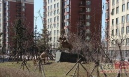 妙瓦底鼎盛园区最新爆料,揭秘未来生态智慧生活新篇章